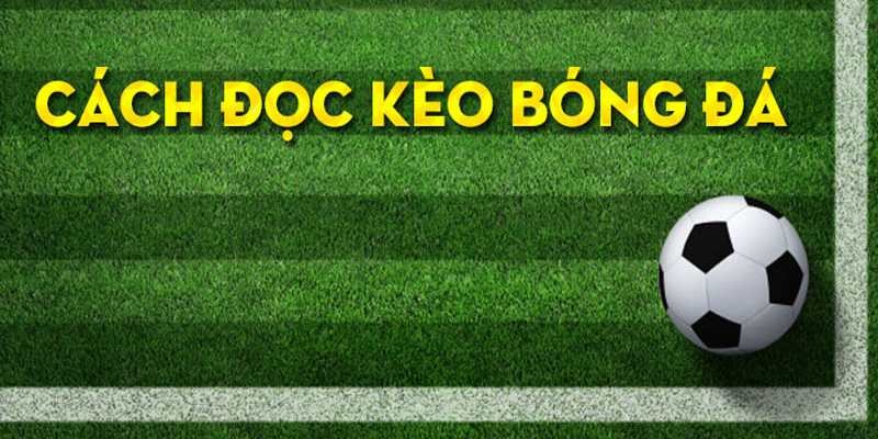 Giải Mã Kèo Châu Âu Chi Tiết Nhất 2024 Cho Anh Em Tân Thủ 2 Chi tiết cách đọc kèo châu Âu cho người mới chơi